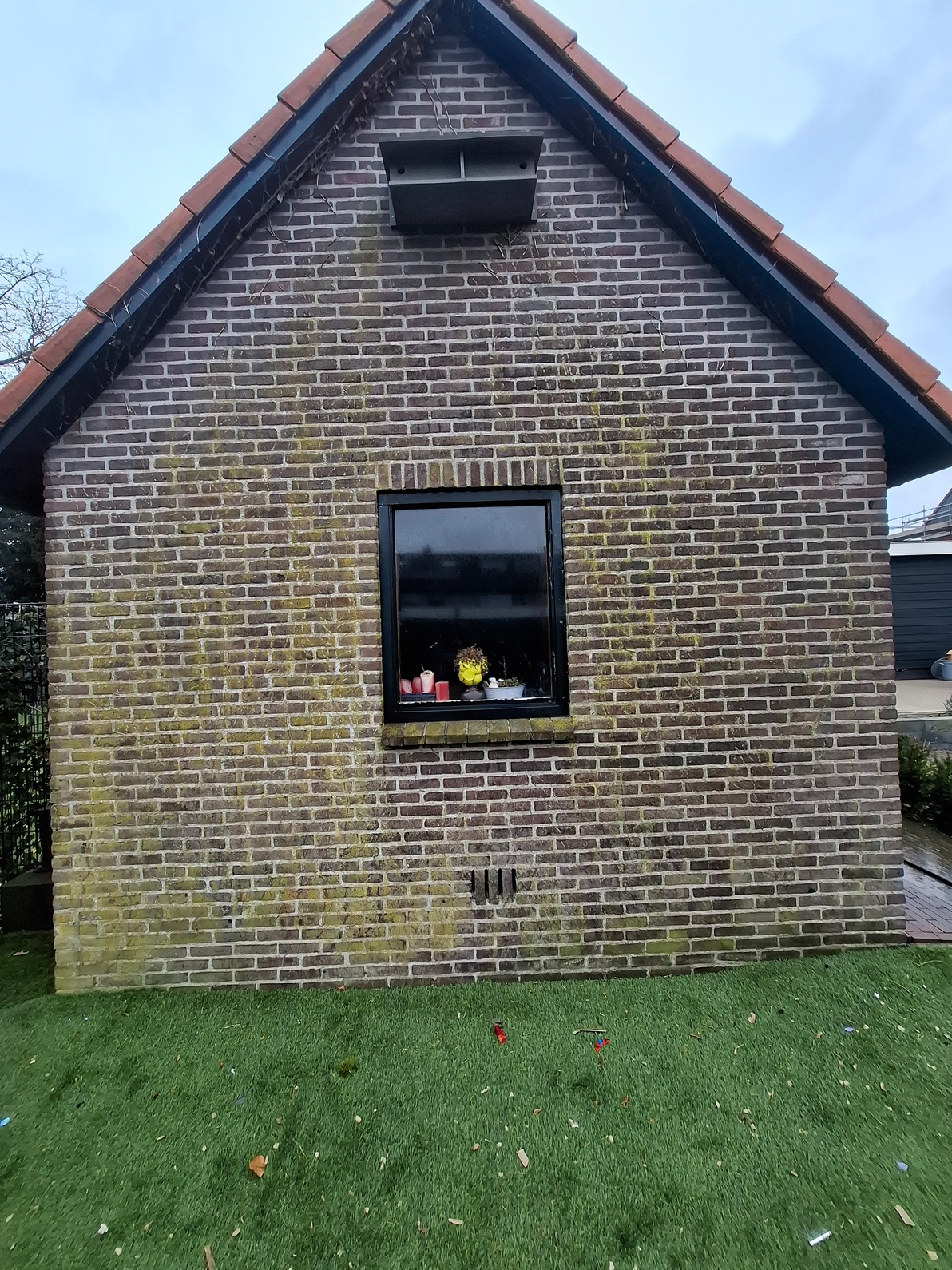 Zijgevel woning voor reiniging met groene mosvorming