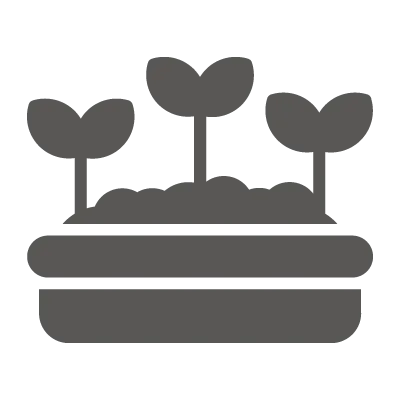 Three small plant sprouts growing from soil in a rectangular planter.