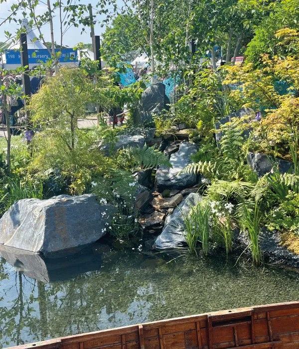 A tranquil garden pond with large rocks, green plants, and ferns surrounding clear water and a wooden edge.