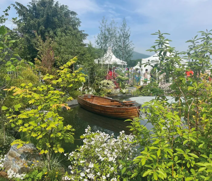 Wooden rowboat on a small pond surrounded by lush green plants and white flowers under a blue sky.