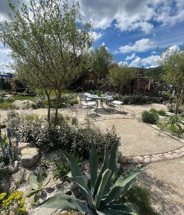Outdoor garden patio with a round table, four metal chairs, trees, and various green plants under a partly cloudy sky.
