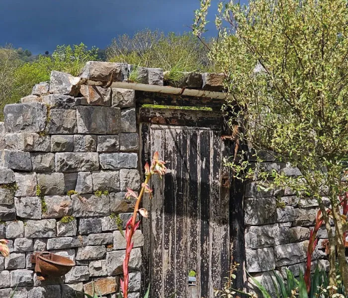 Old weathered wooden door set in a stone wall surrounded by green plants under a dark cloudy sky.
