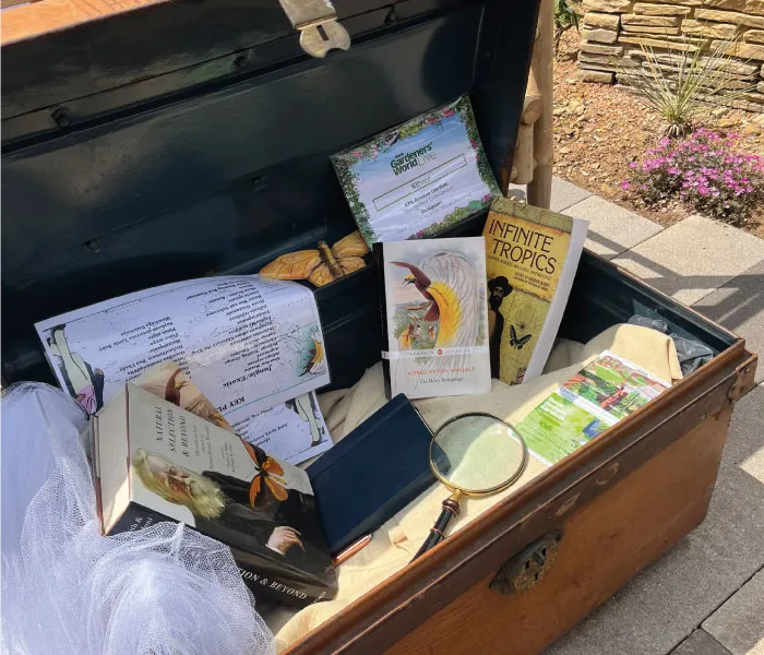 Open wooden chest containing gardening books, papers, a magnifying glass, and a butterfly net outdoors.