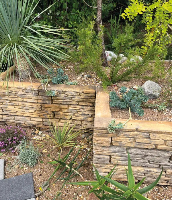 Stone raised garden beds with succulents and various desert plants in a landscaped yard.