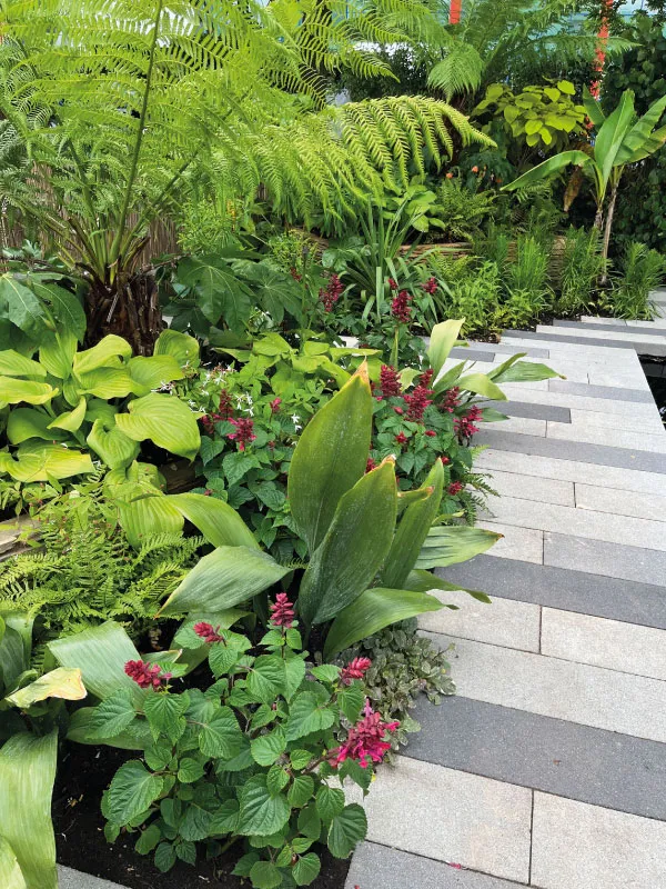 Lush garden bed with various green leafy plants and red flowers alongside a tiled pathway.