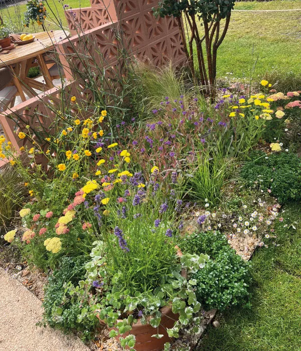 Colorful garden bed with yellow, purple, and pink flowers surrounded by green grass and decorative panels.