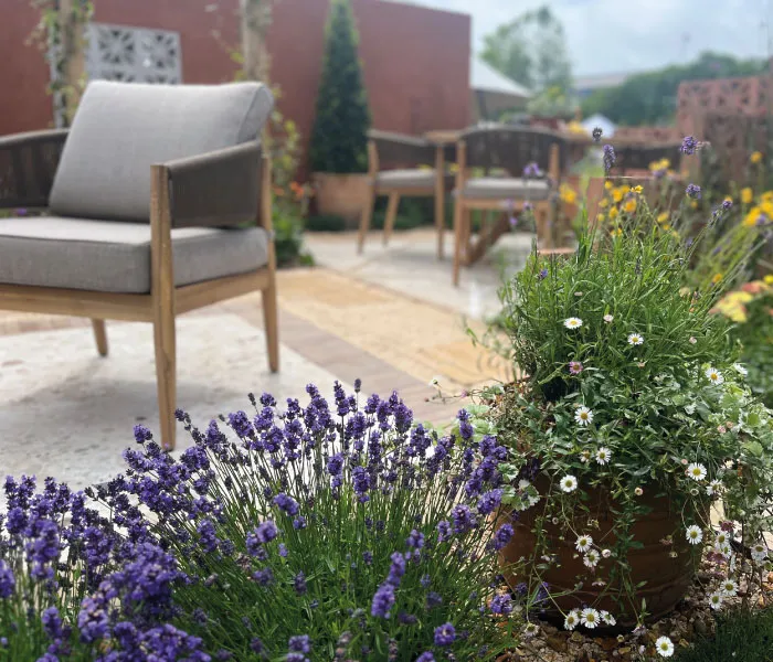 Outdoor patio with a wooden chair and cushions near blooming lavender and daisy flowers in pots.