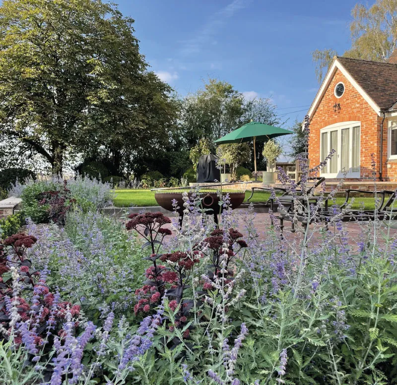 Garden with purple flowers and a brick house with a green patio umbrella under a clear blue sky.