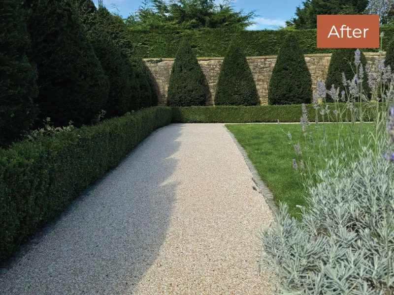 Neatly landscaped garden with a gravel pathway bordered by trimmed hedges and conical topiary trees against a stone wall.