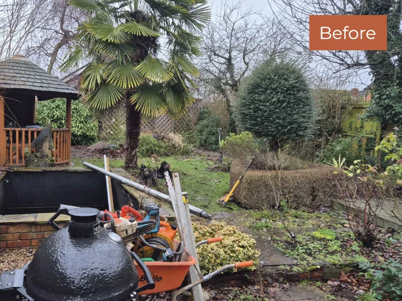 Untidy garden with scattered tools, a small pond, trimmed hedges, and leafless trees on a cloudy day.