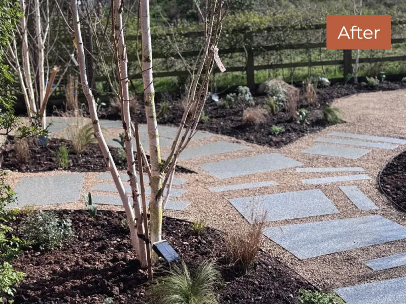Curved garden path paved with irregular rectangular stone slabs separated by gravel with surrounding plants and a young tree.