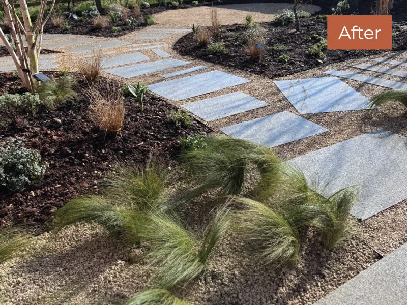 Modern garden path with large flat stones spaced over gravel and surrounded by ornamental grasses and plants.