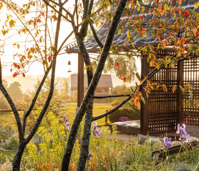 Sunlit garden with a wooden gazebo, blooming flowers, and a tree with red and yellow leaves.