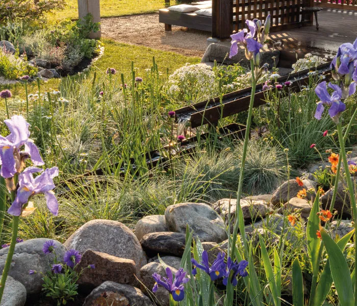 Garden with purple irises, rocks, green grass, and a wooden bench under partial shade.