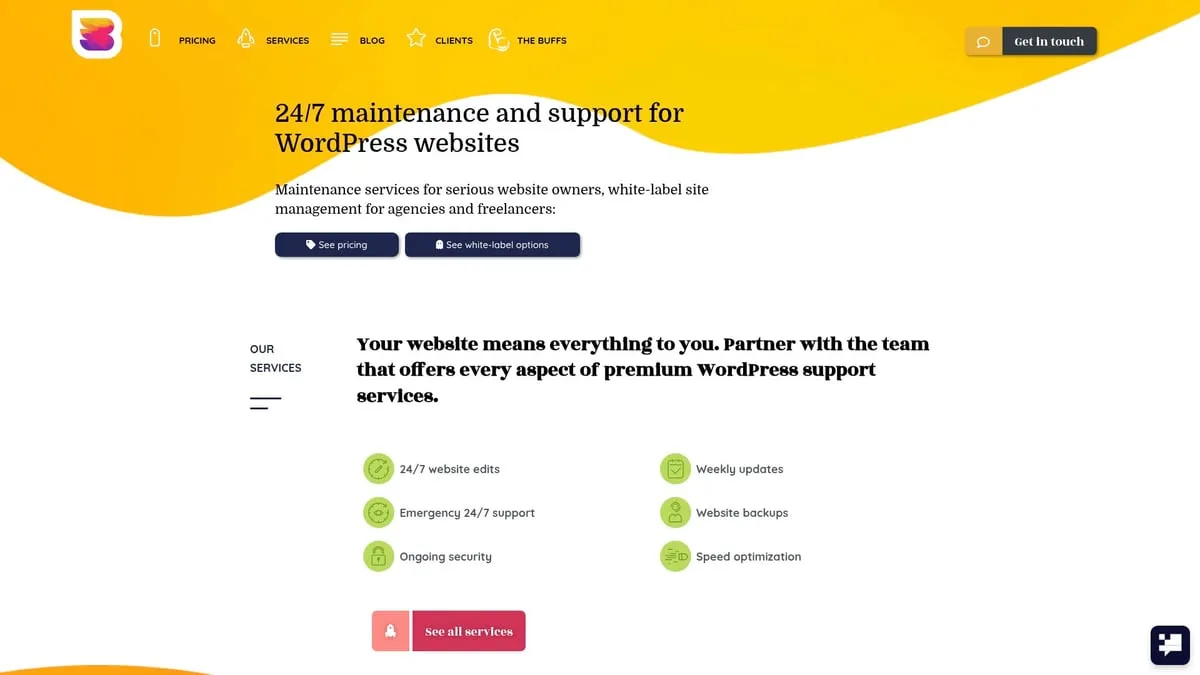 9 Essential WordPress Website Designers to Hire in 2025 - WPBuffs