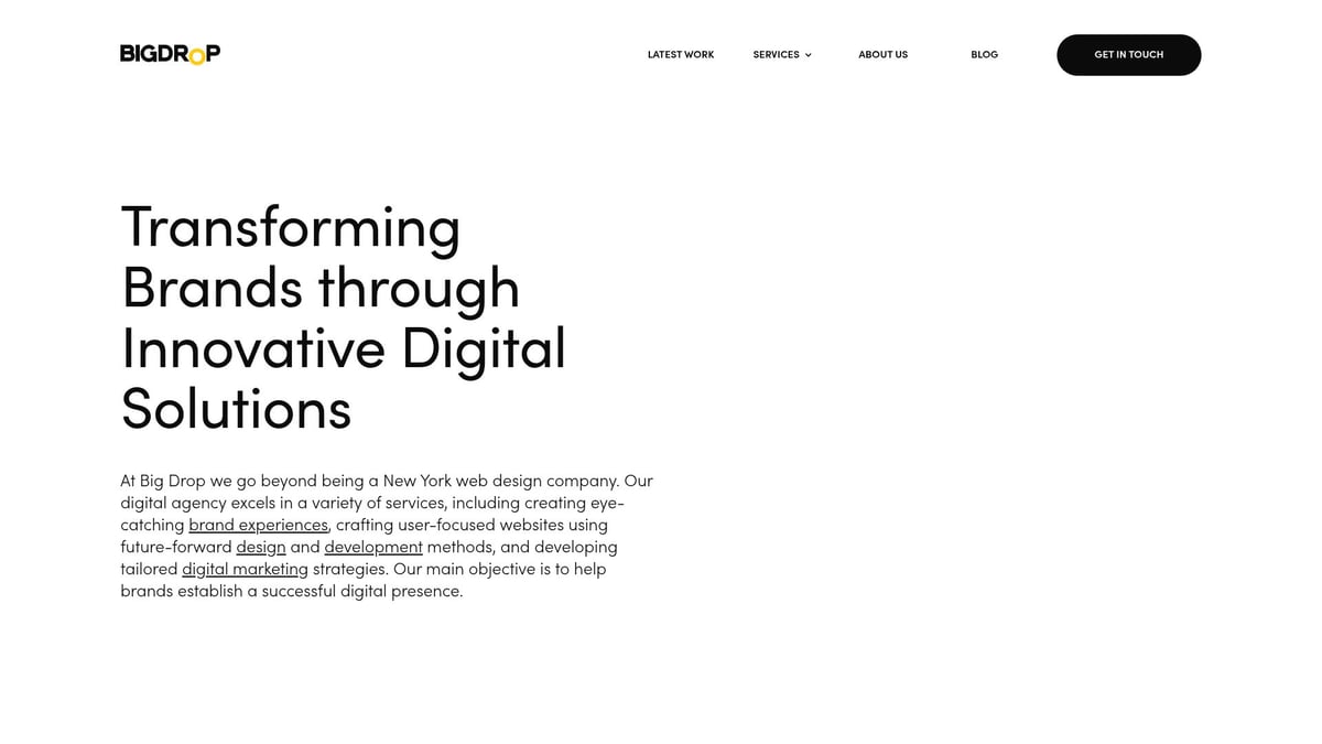 9 Essential WordPress Website Designers to Hire in 2025 - Big Drop Inc