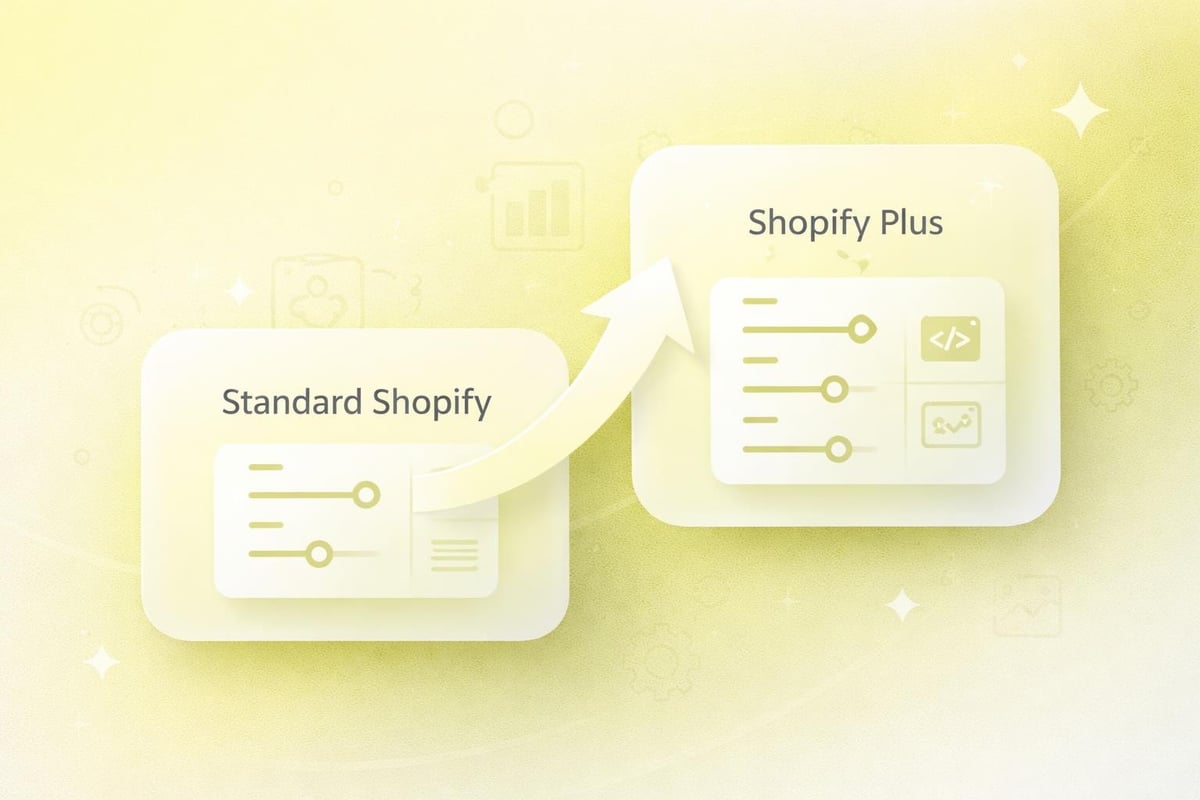Shopify checkout customisation levels