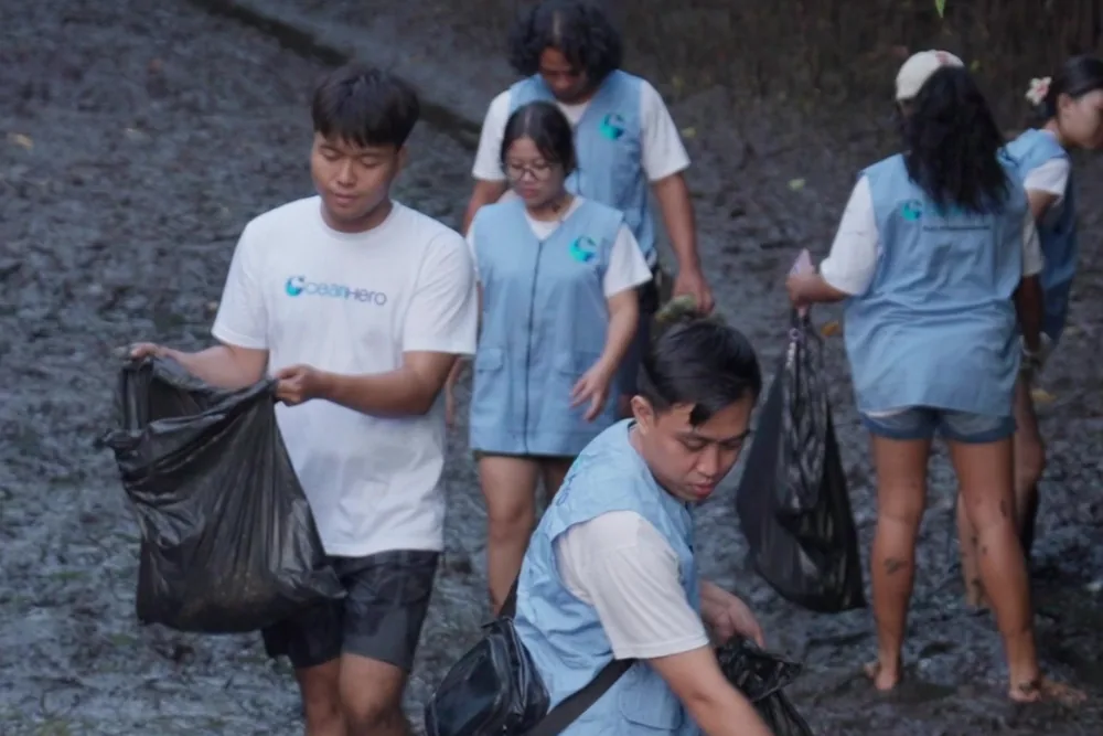 Volunteers carrying waste bags through the mangrove flats