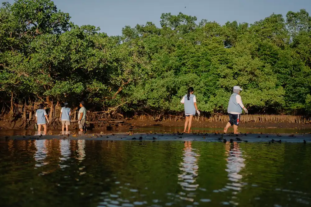Low tide at Wana Segara Kertih let volunteers reach every corner on foot