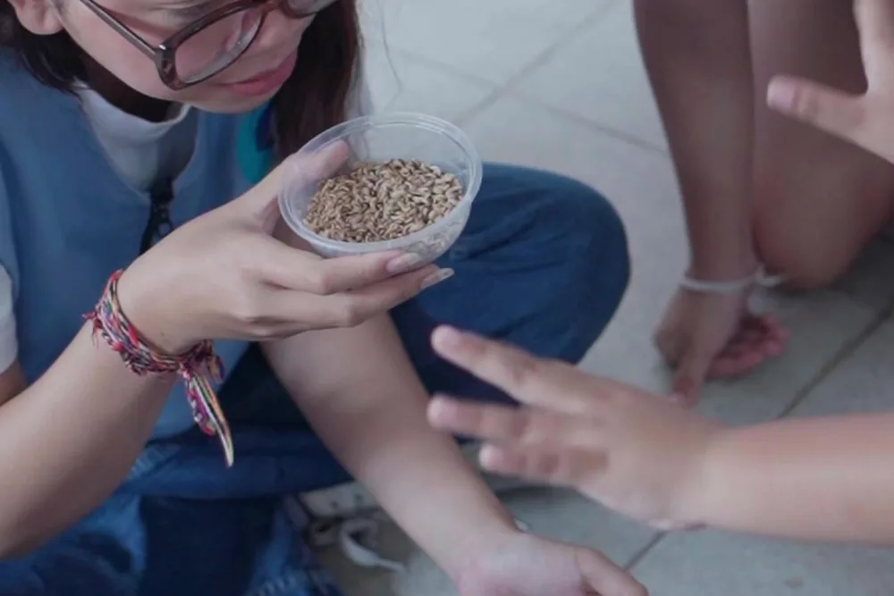 A volunteer showing children the maggots used to break down food waste