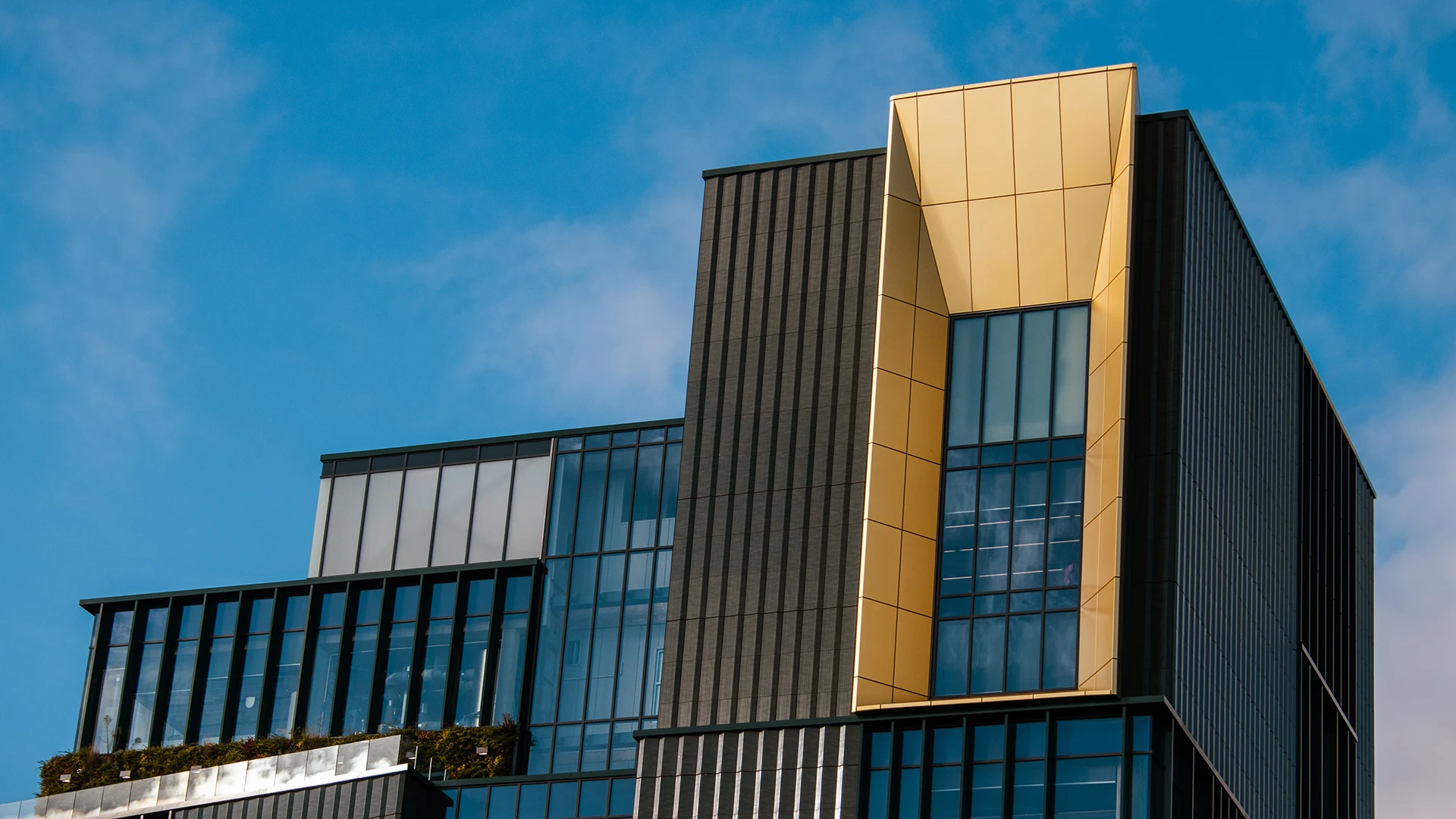 Modern black building with large windows and a gold anodised window frame under blue sky.