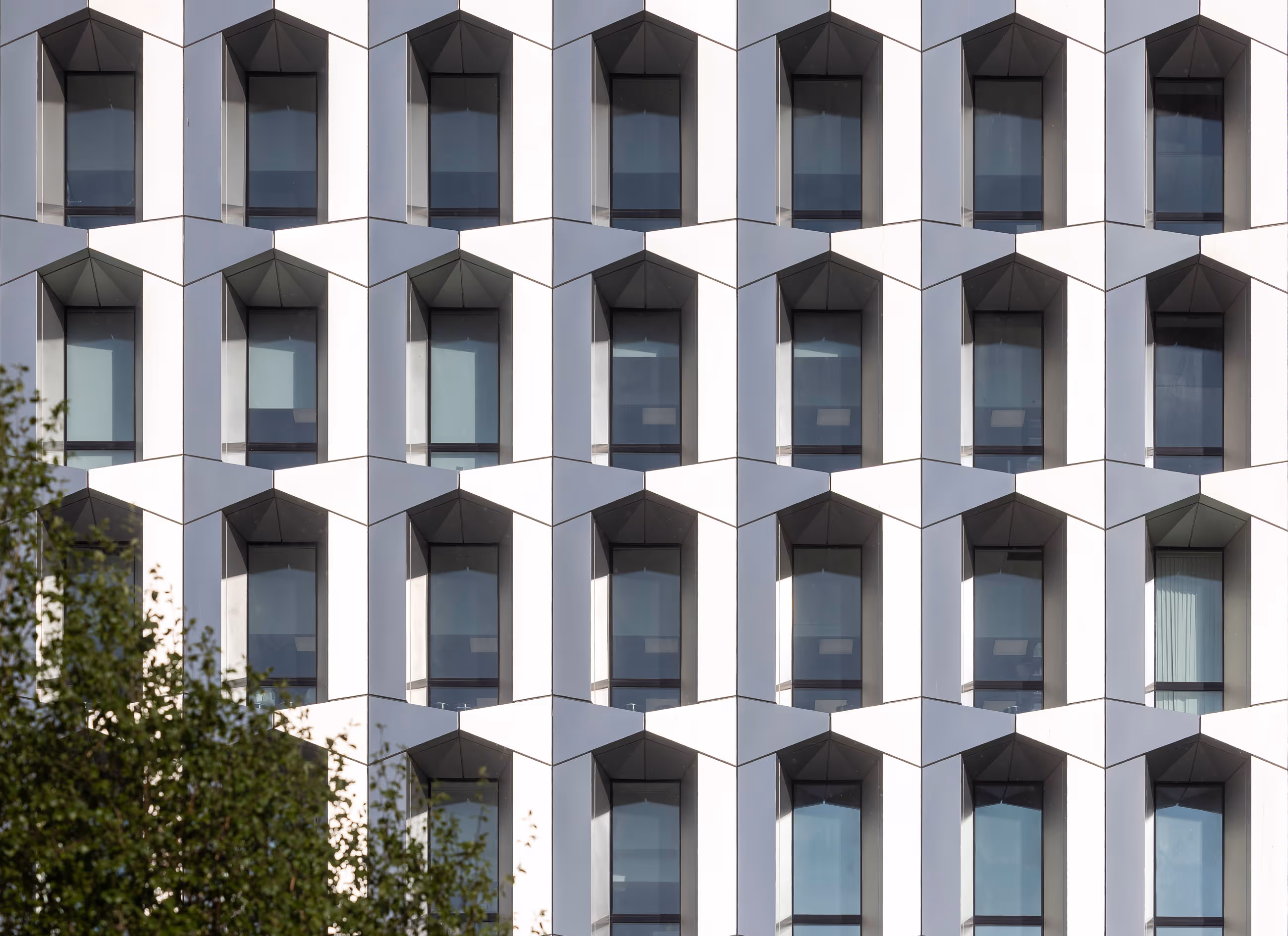 Facade of a modern building with repetitive hexagonal windows and some green tree branches in front.