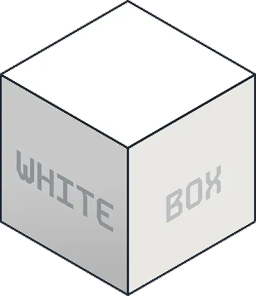 White box pentesting service