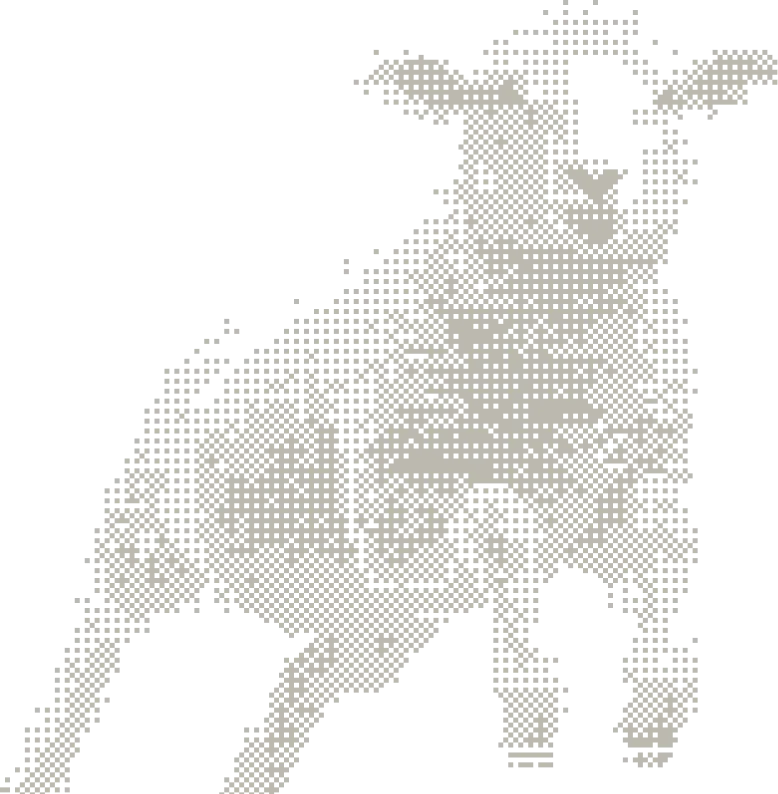 Woolves demo sheep illustration