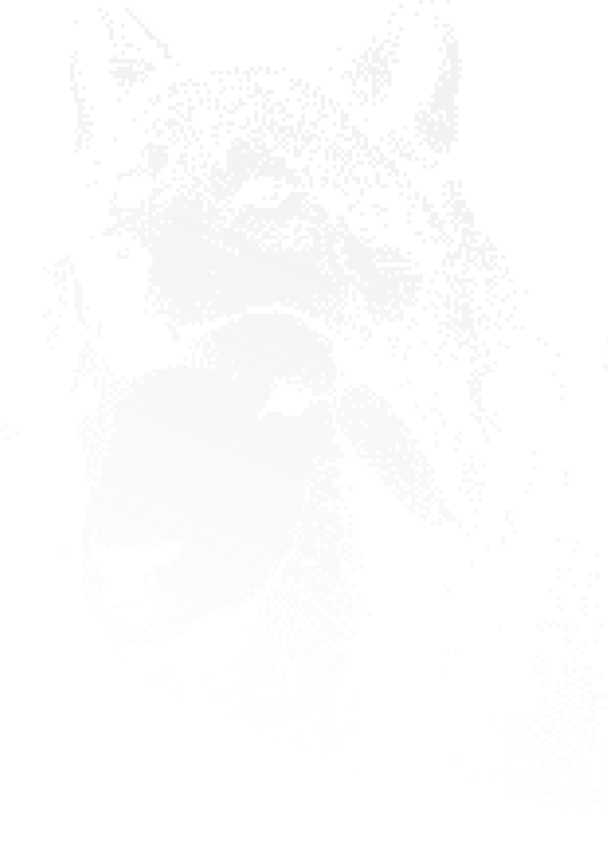 Woolves contact page illustration