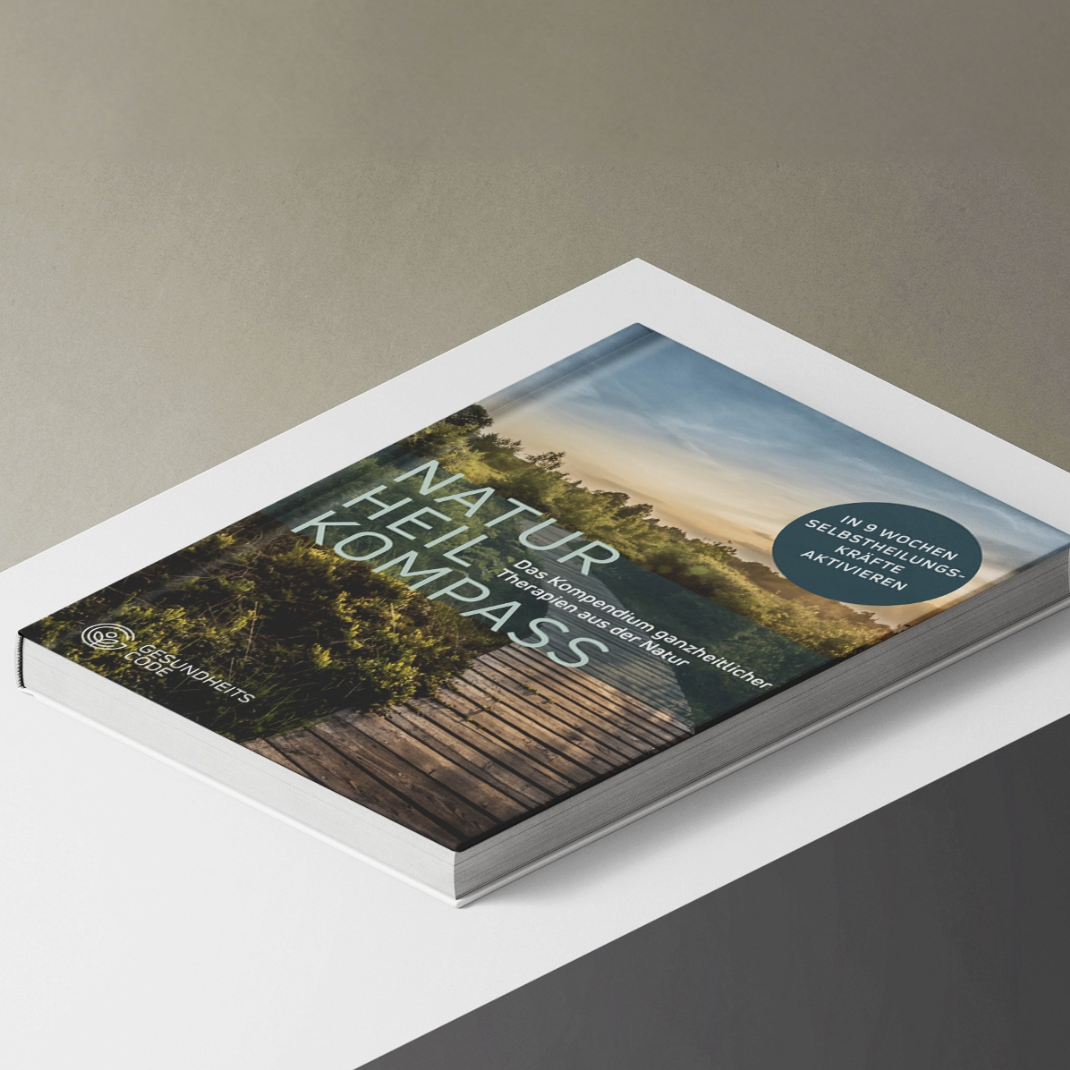 Buch mit dem Titel Naturheilkompass, zeigt einen Holzsteg in einer grünen Landschaft bei Sonnenuntergang.