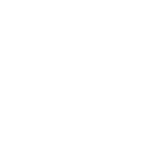 Logo VTE Next Partner, partner ufficiale per soluzioni CRM e integrazioni con il gestionale ERP