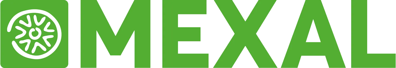 Logo Mexal, software gestionale ERP Passepartout per PMI