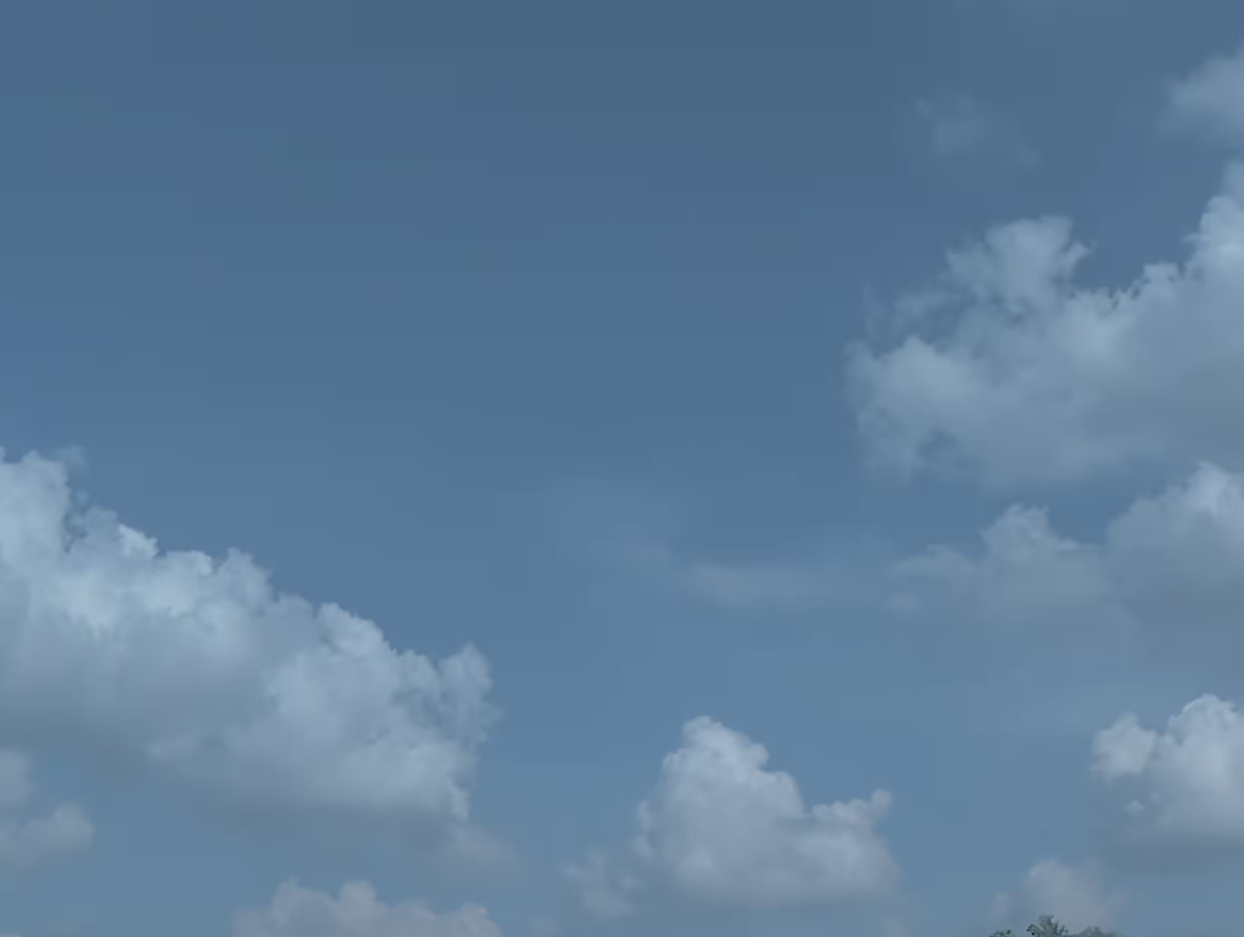 Blue sky with scattered white clouds above tree tops.
