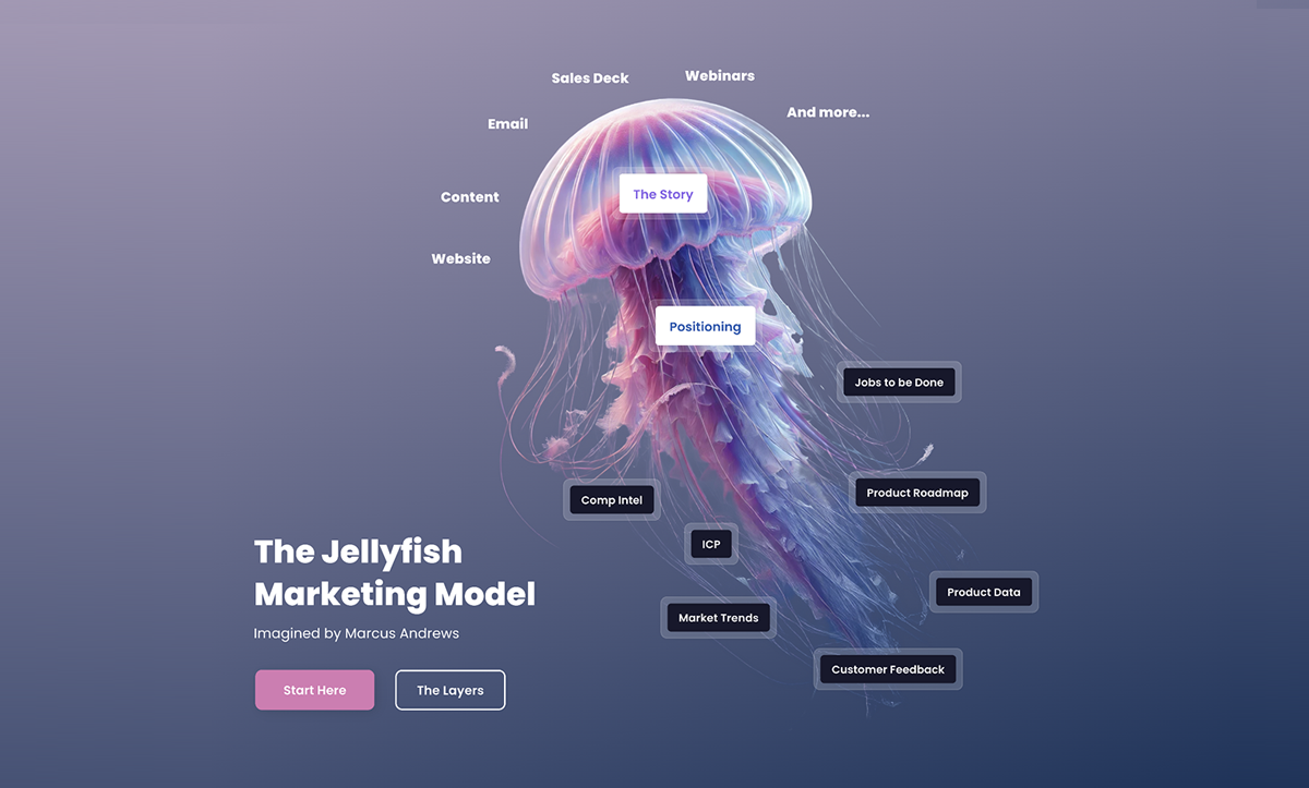 Marcus Andrews • Jellyfish