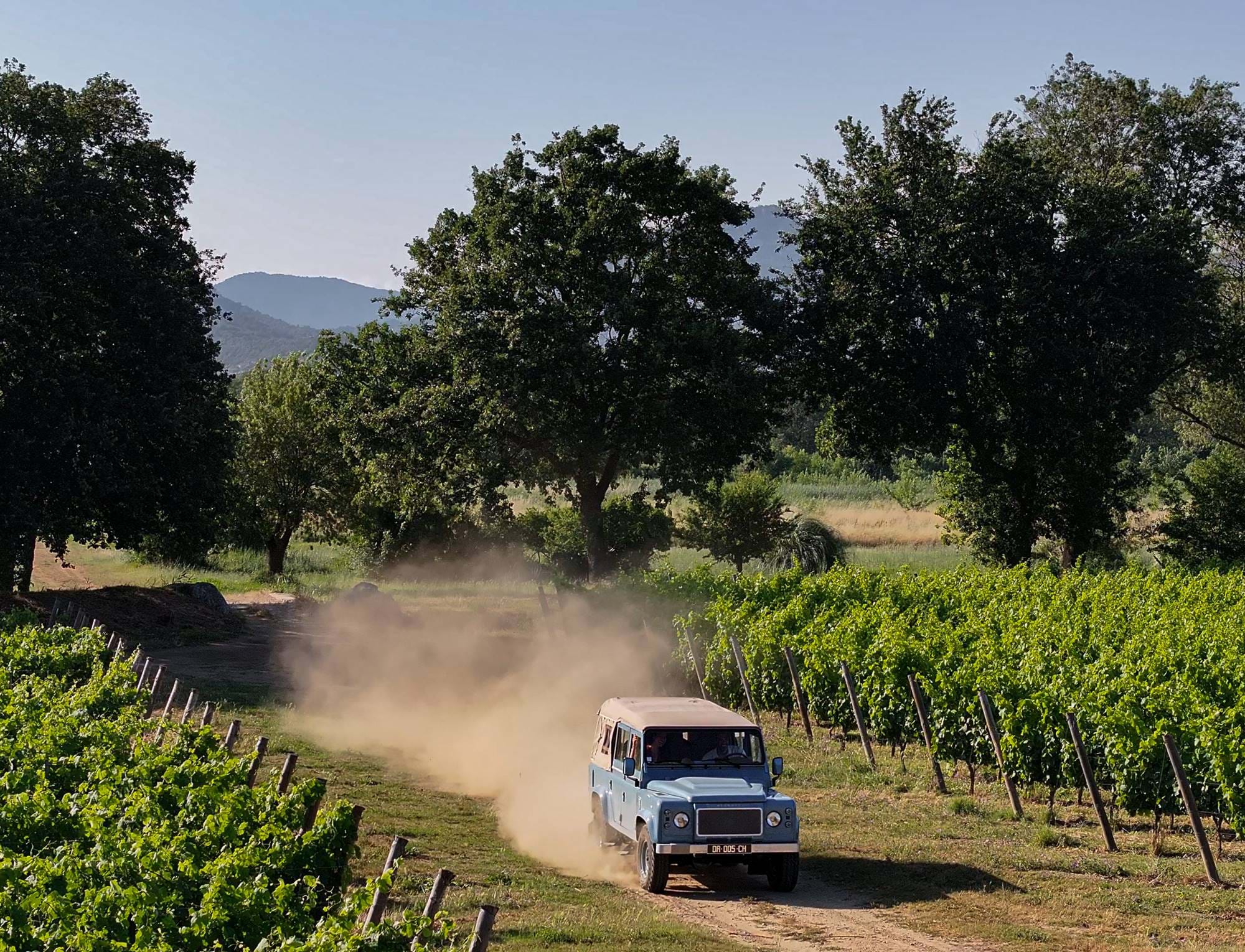 Veículo off-road azul a conduzir num caminho de terra batida através de uma vinha verde com árvores e colinas ao fundo.