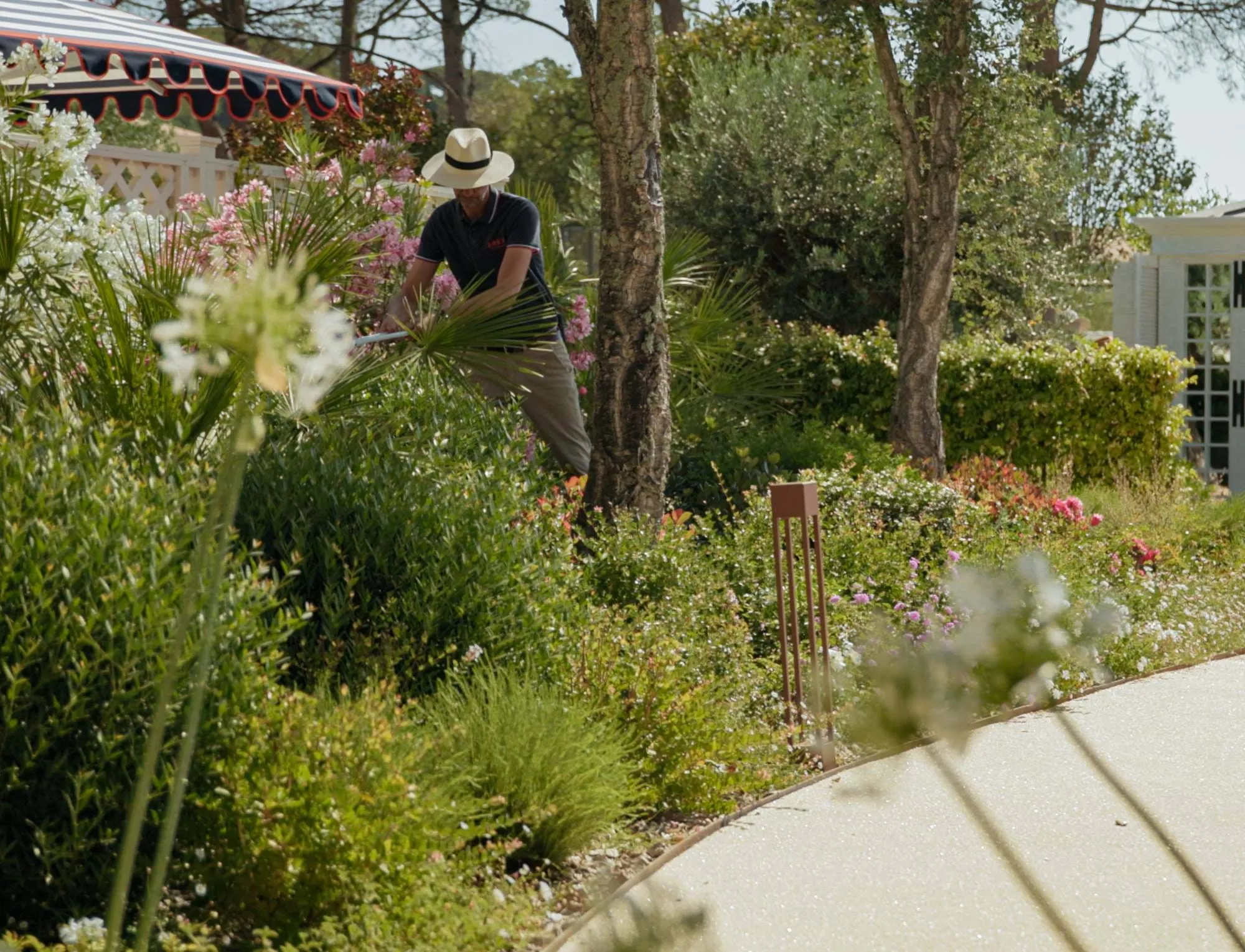 Pessoa com chapéu aparando plantas num jardim exuberante com flores a desabrochar e um caminho pavimentado.