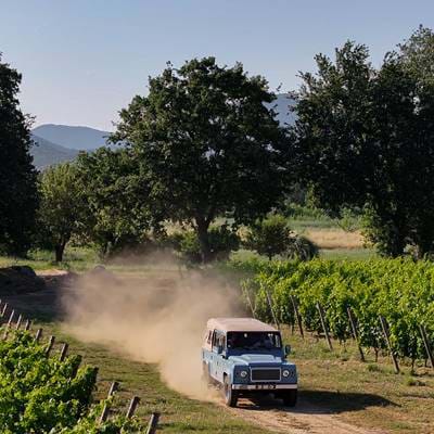 Offroad-Jeep-Fahrt durch die sonnenverwöhnten Weinberge des Hotels AREV in Saint-Tropez.