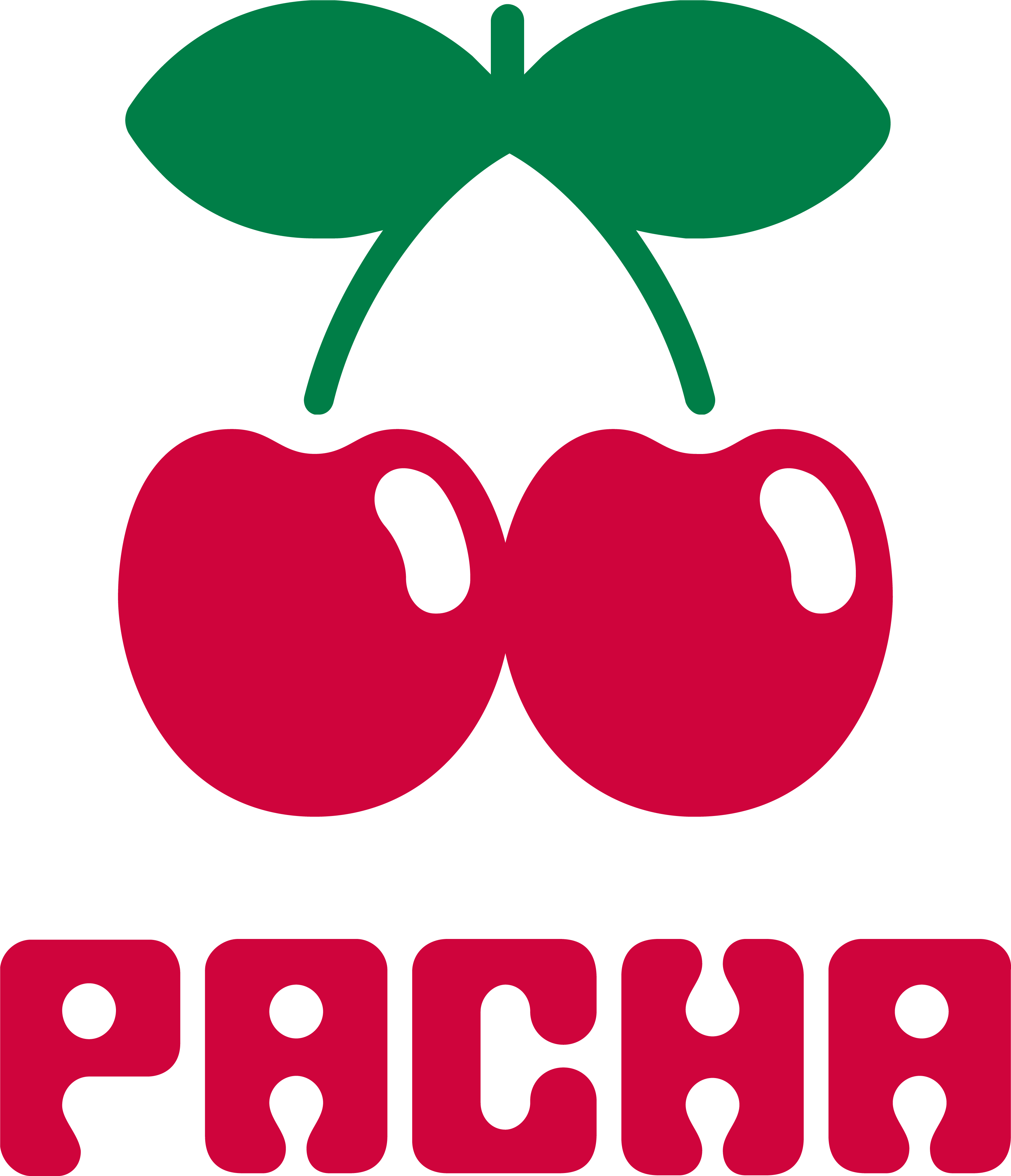 Pacha