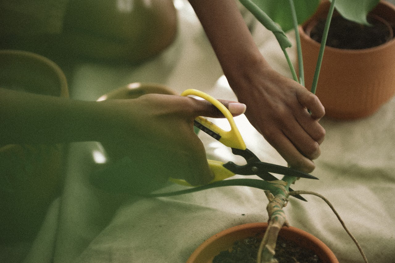 Telehealth vs Traditional Weight Loss: Cost Comparison