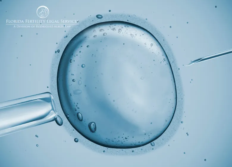 Egg Donation and Sperm Donation Legalities: What You Need to Know in Florida