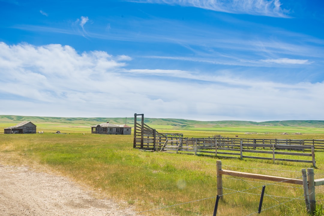 Large ranch gate at a Spring Branch property entrance - Spring Branch land for sale Large ranch gate at a Spring Branch property entrance - Spring Branch land for sale