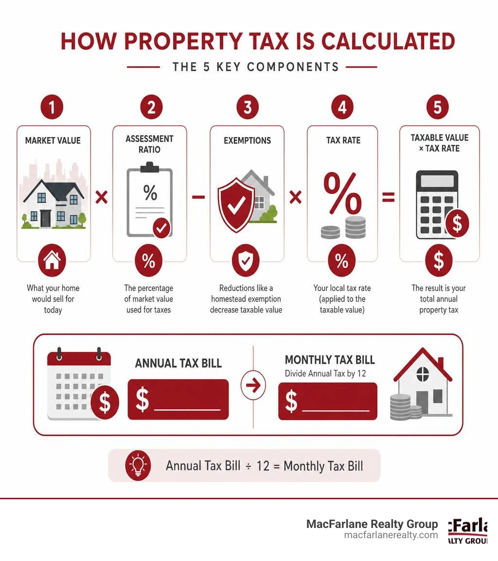 Property tax components infographic showing market value, assessment ratio, exemptions, tax rate, and final annual and Property tax components infographic showing market value, assessment ratio, exemptions, tax rate, and final annual and