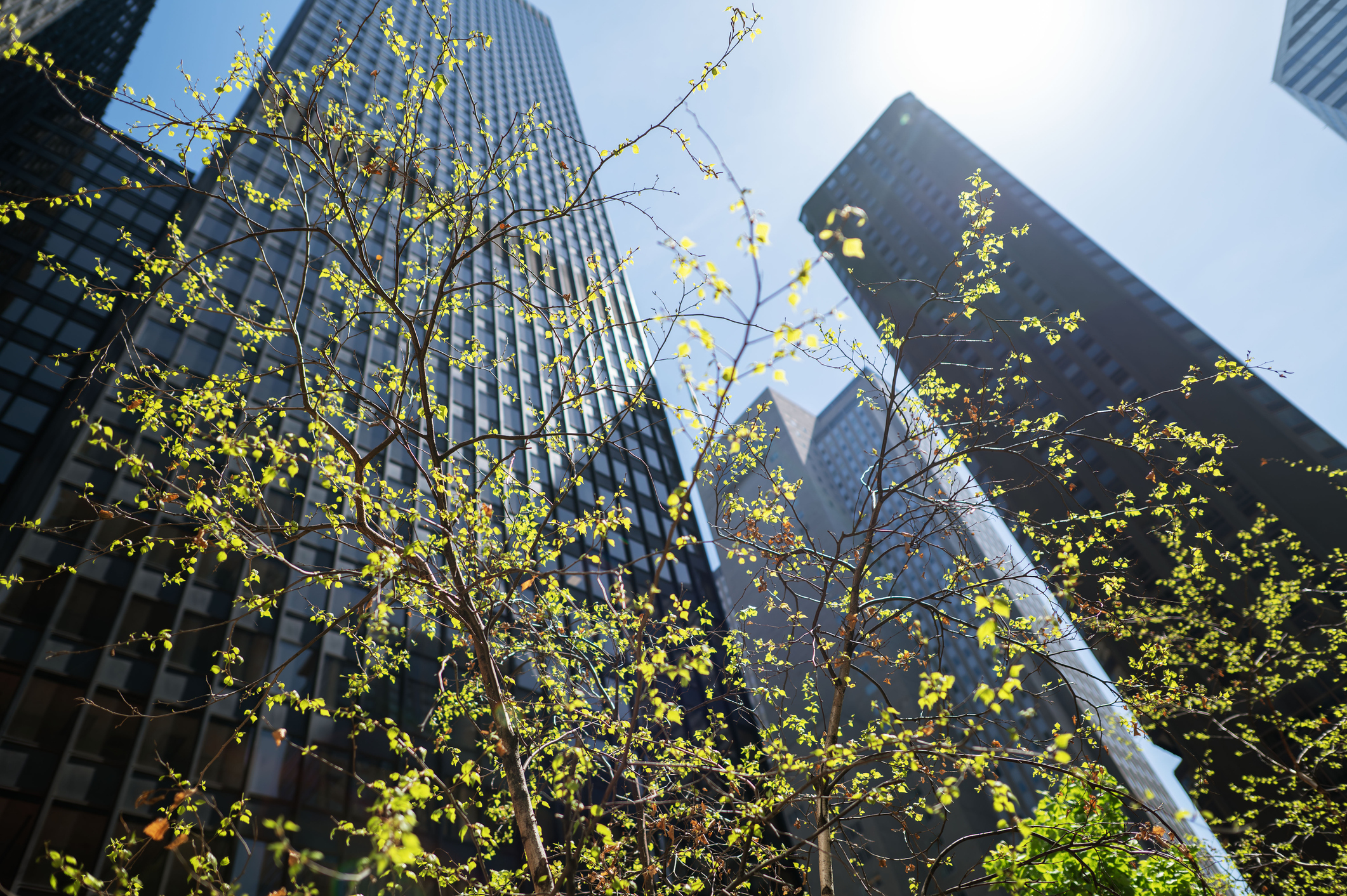 Elevate your success with Templum.