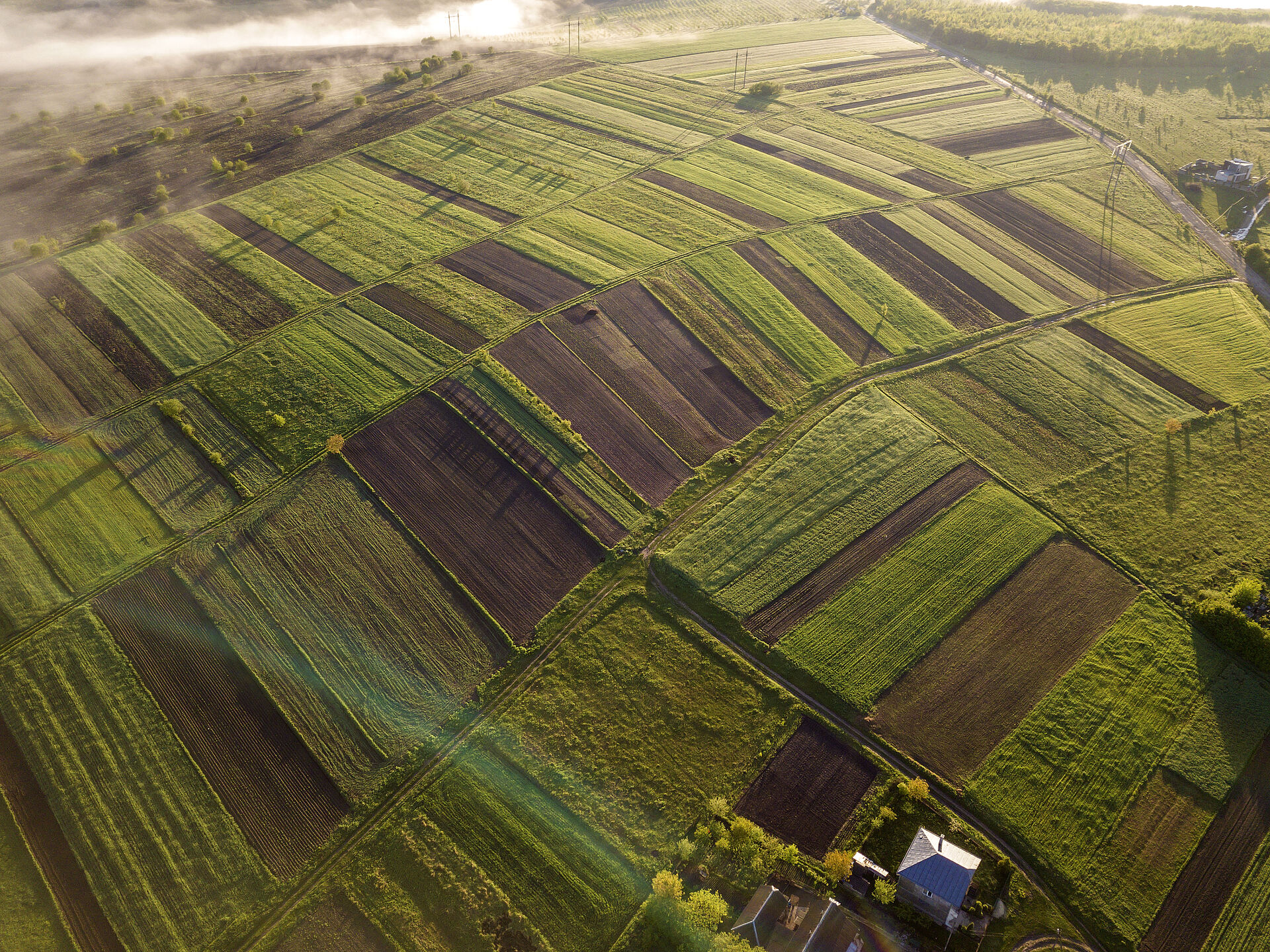 Luftaufnahme von landwirtschaftlichen Feldern mit verschiedenen Grüntönen und einem Haus unten rechts.