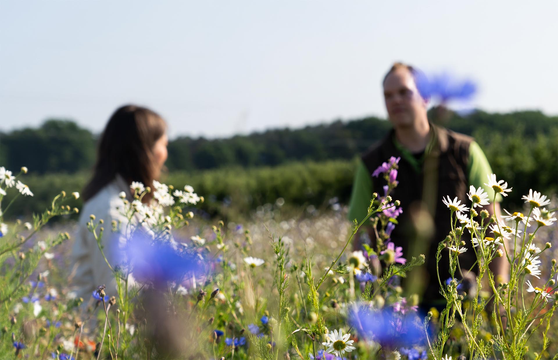 Zwei Menschen die auf einem blühenden Feld stehen. Der Hintergrund ist unscharf und der Fokus liegt auf den Blumen im Vordergrund.