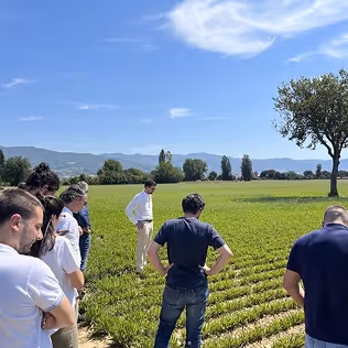 Gruppo di persone in piedi in un campo agricolo con file di colture e un albero sotto un cielo azzurro con nuvole.