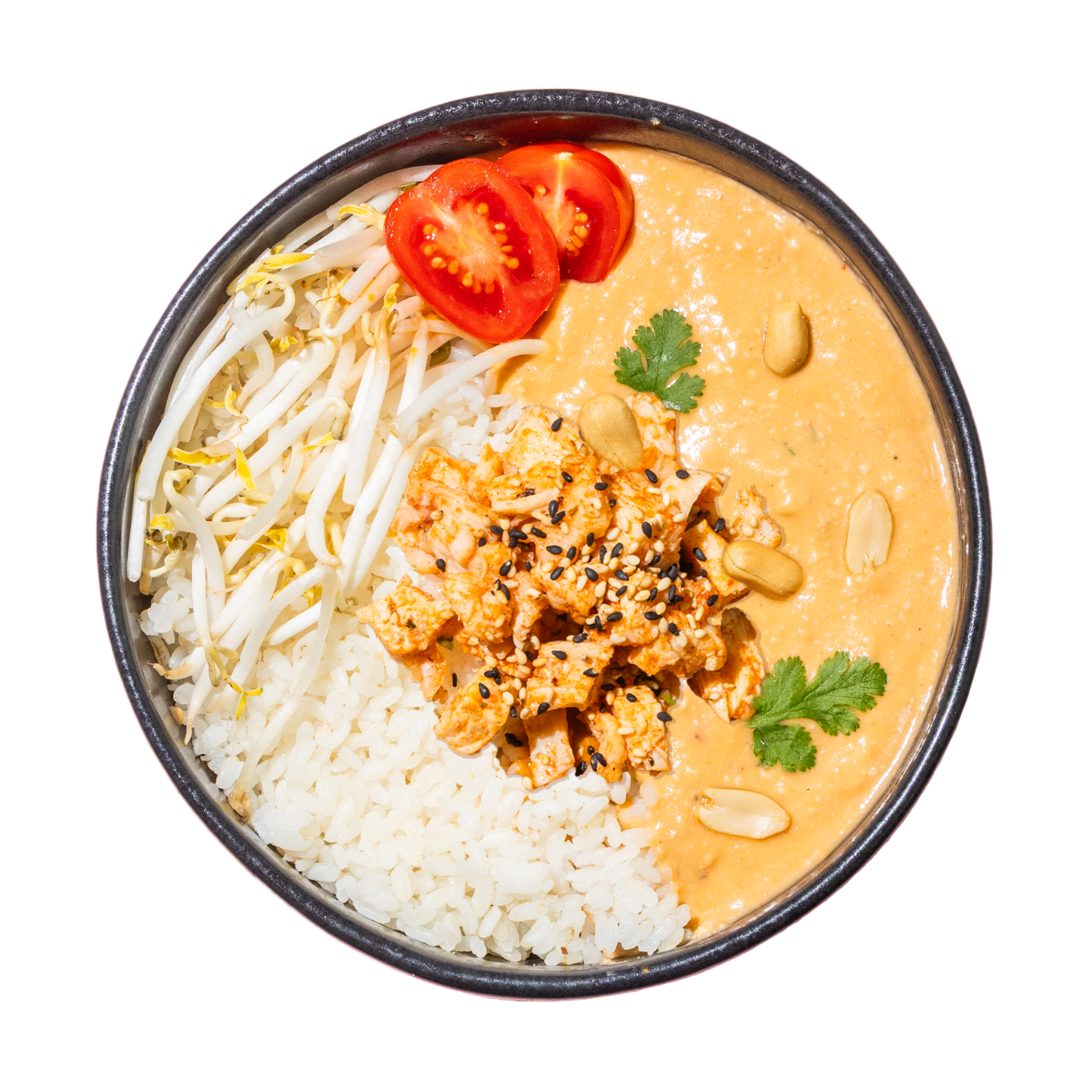 Eine farbenfrohe Schüssel mit weißem Reis, Sojasprossen, cremiger Erdnusssauce, gewürfelten Tomaten, garniert mit Koriander, Erdnüssen und Sesamsamen auf schwarzem Hintergrund.