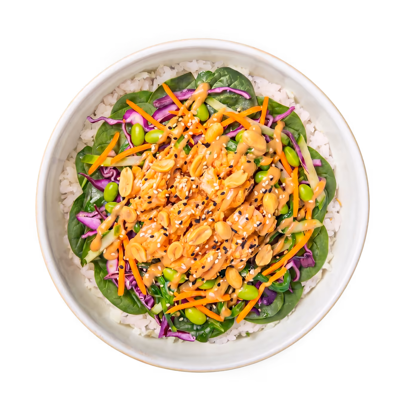 Eine Schüssel Reis mit Hähnchen, Gemüse und Sesamkörnern, appetitlich angerichtet.