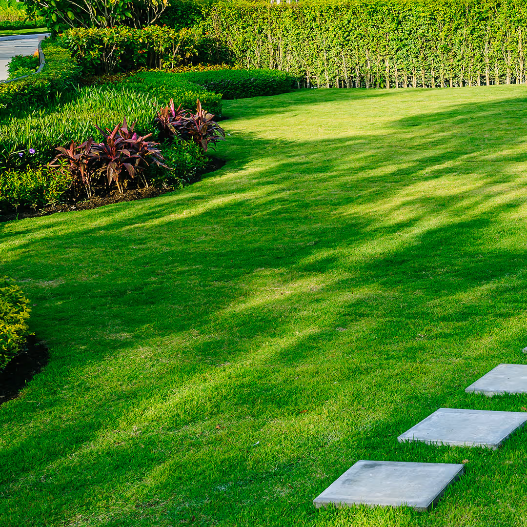 Residential lawn mowing and yard maintenance by JMC Lawn Care near me