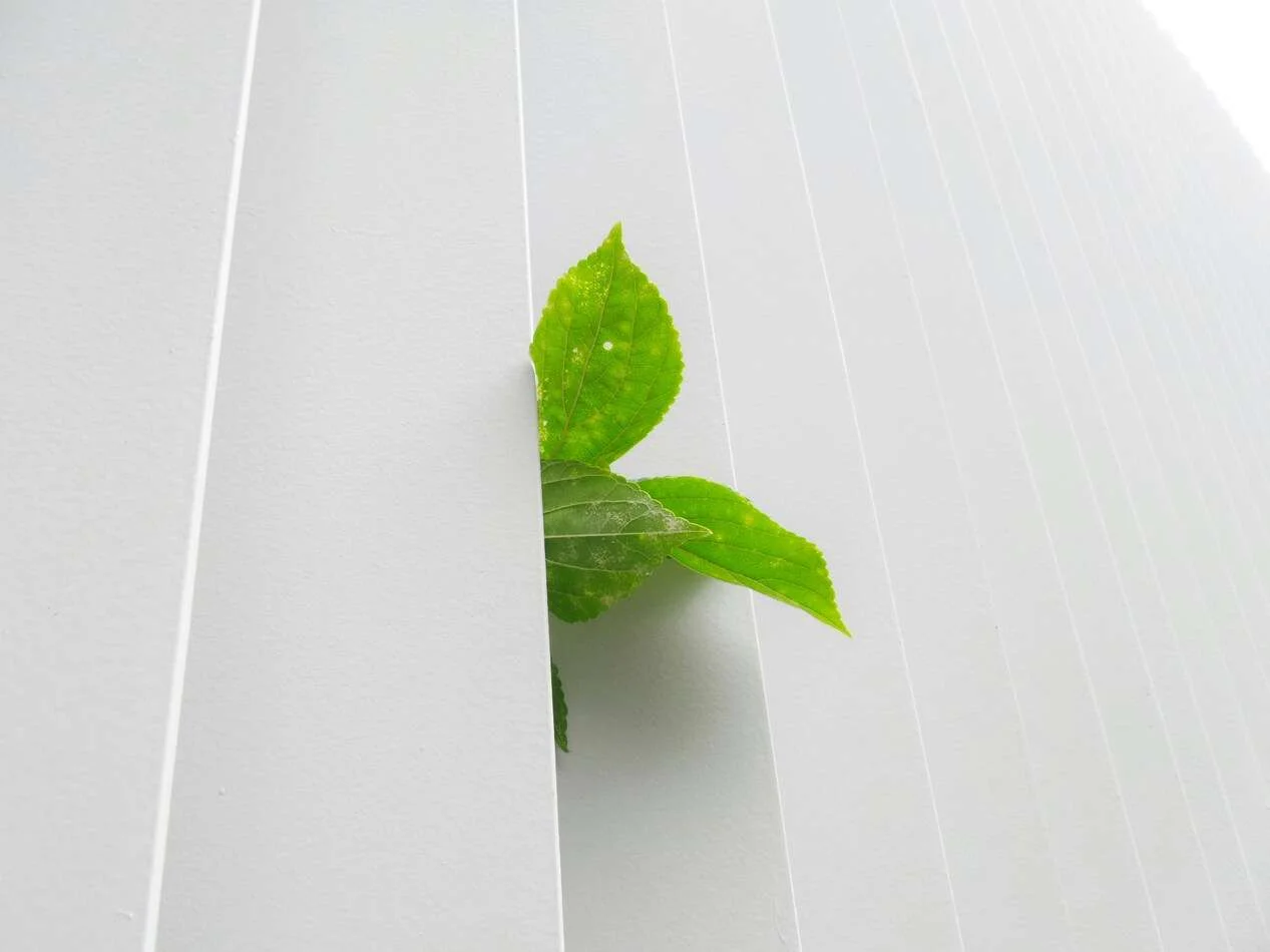 fleur verte pour représenter la greentech